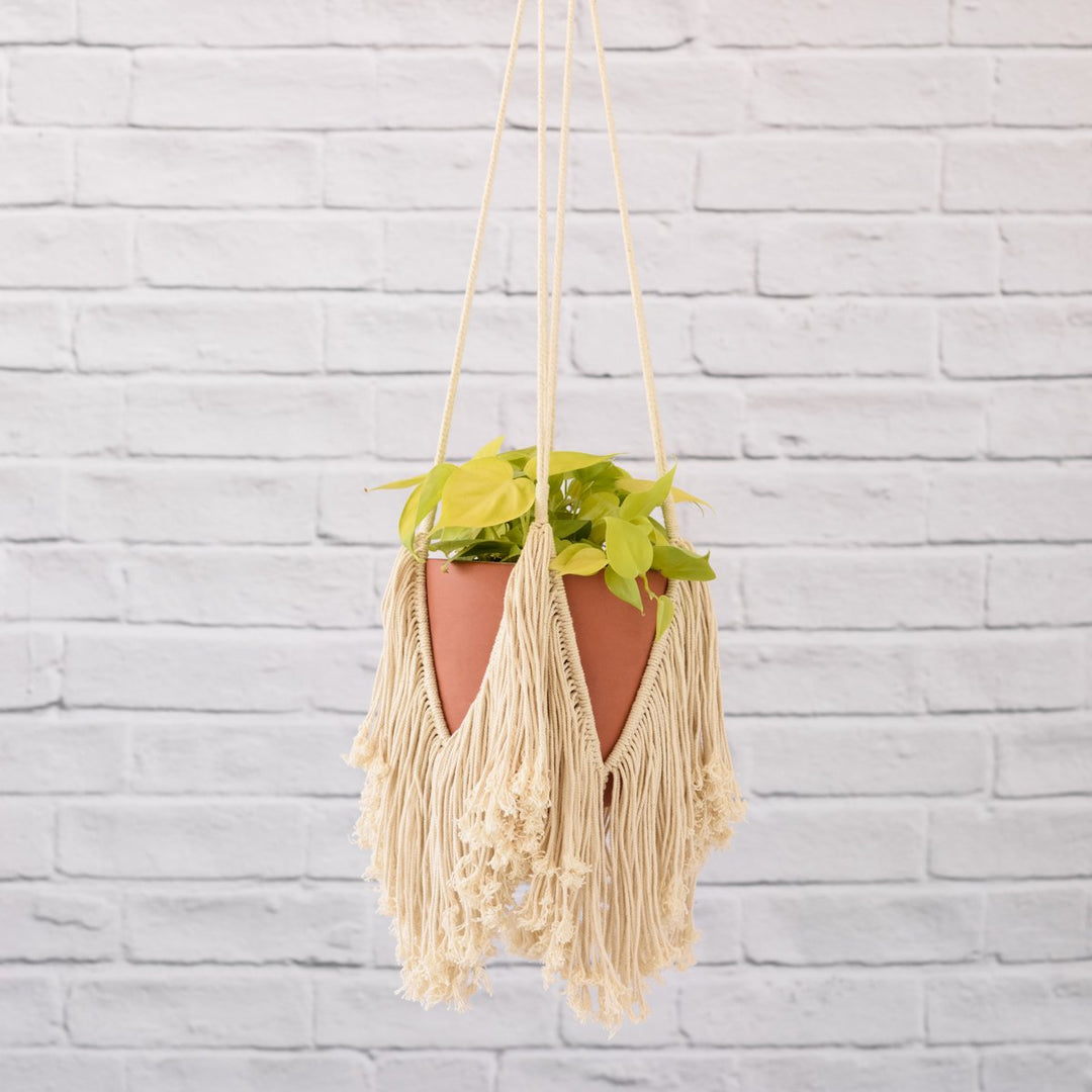 macrame plant hanger with fringe Macrame - Tassels - LARGE