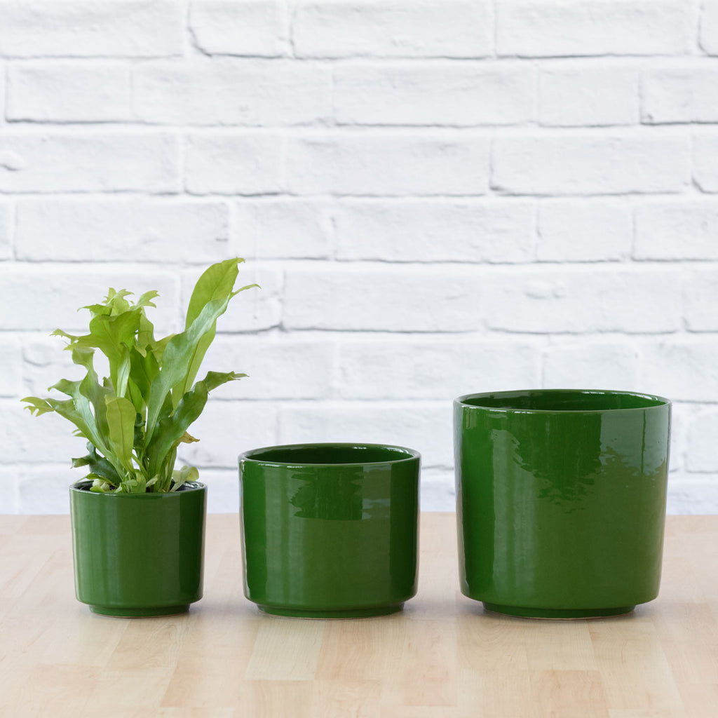 Migo Planter - Forest Green | Indoor Plant Pot