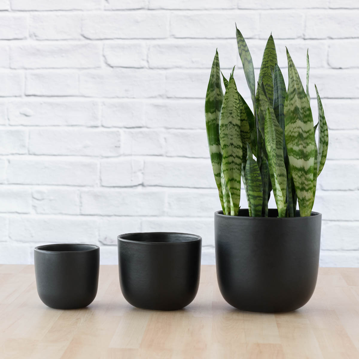 indoor plant pots south africa Moon Planter - Black