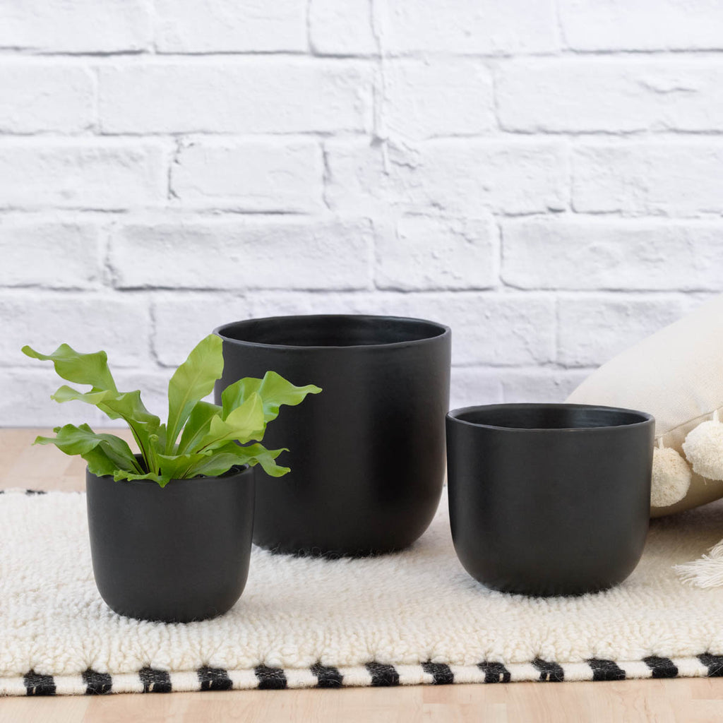 MoonPlanter-