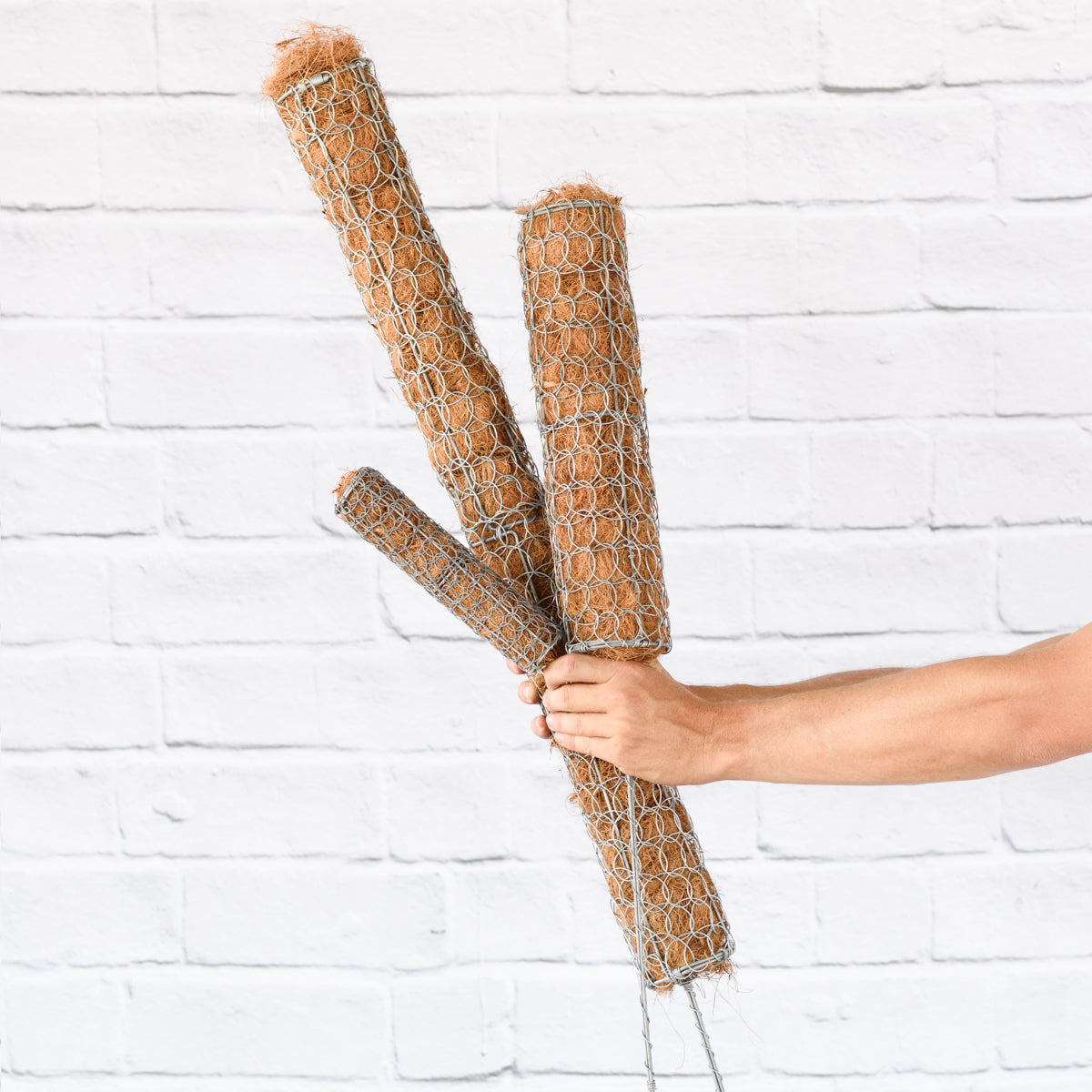 Moss Pole | Indoor Plant Moss Pole | Indoor Plant