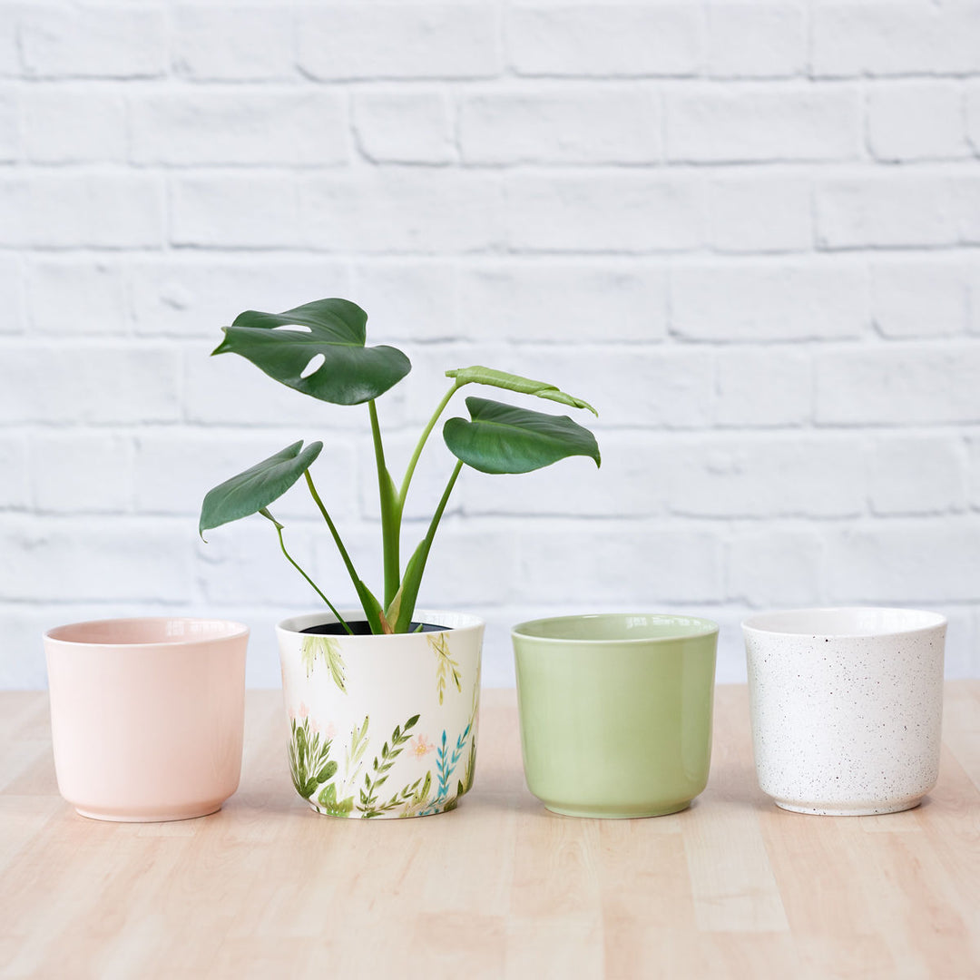 Emerson Pot - Spring Range - Shop Online!