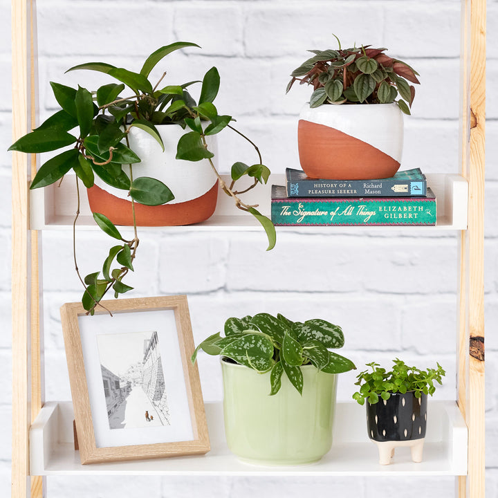 Daxi Planter - Terracotta - Shop Online!