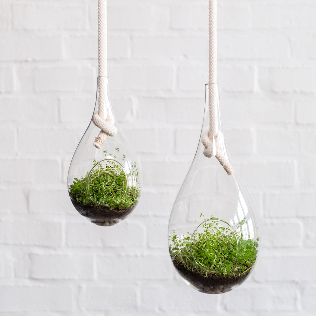 Raindrop Glass Hanging Planter