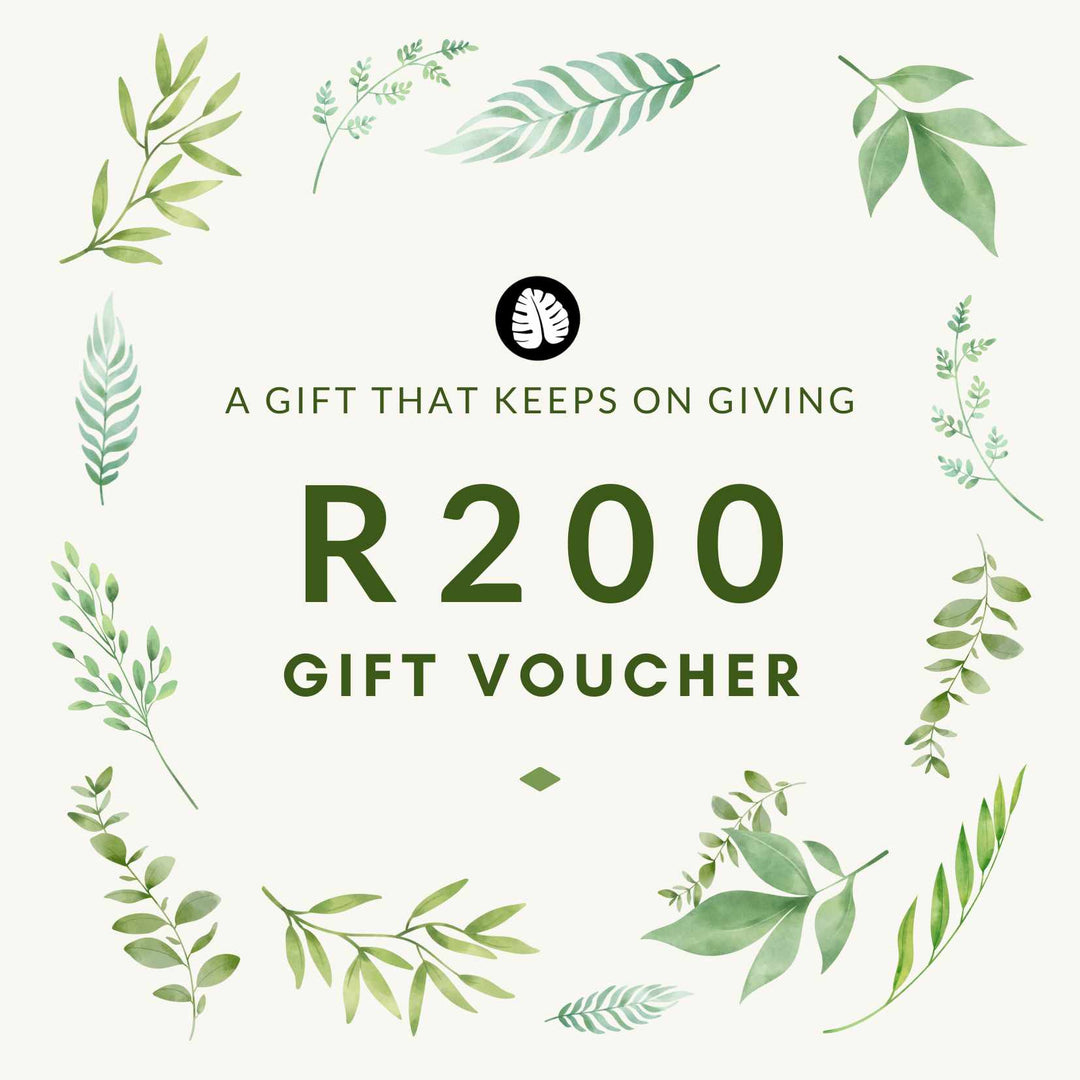 Plantify Gift Voucher - Shop Online!