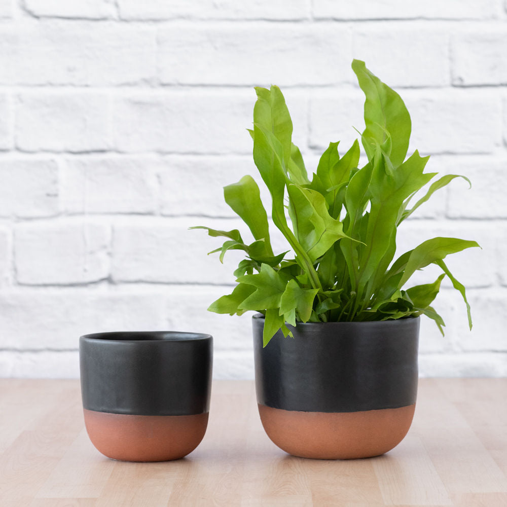 Pluto Planter - Charcoal | Indoor Plant Pot