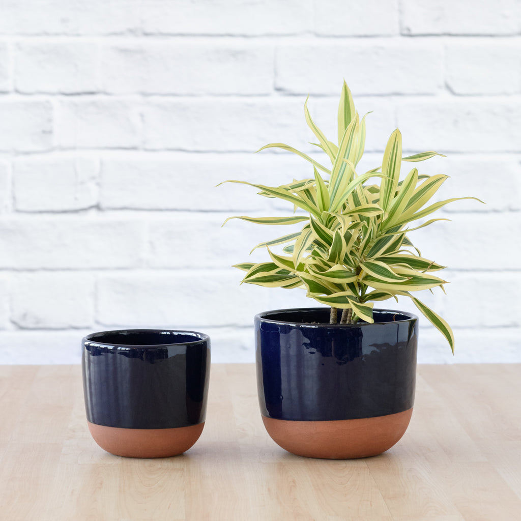 Pluto Planter - Navy Blue | Indoor Plant Pot