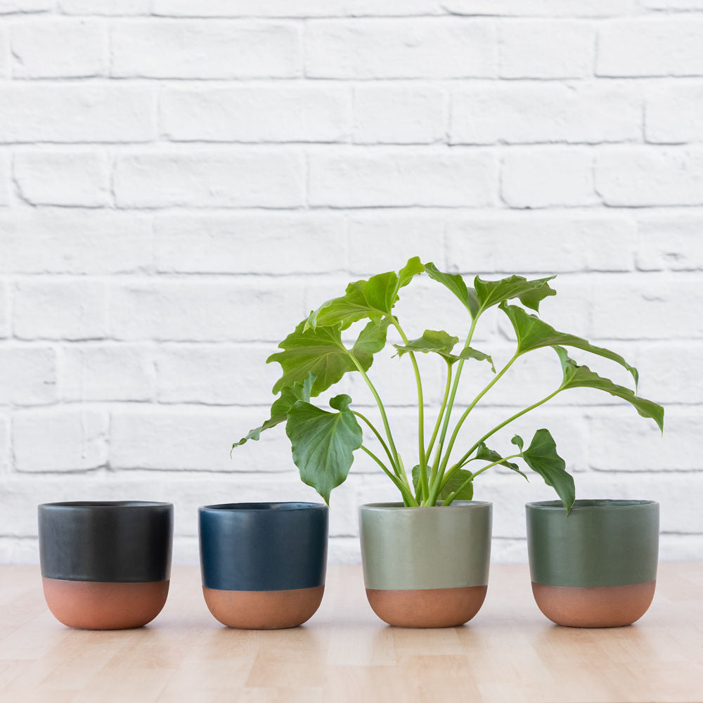 sage green indoor plant pot Pluto Planter - Sage Green