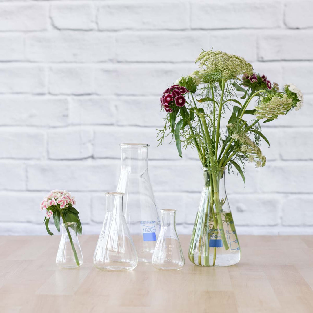 Propagation Vase - Shop Online!