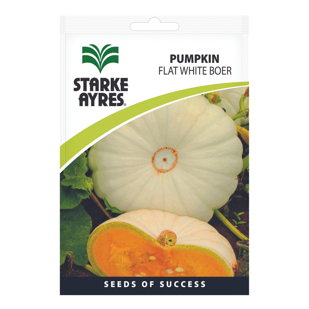 Seeds - Pumpkin Flat White Boer - Shop Online!