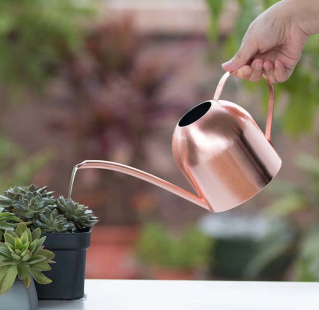 Retro Watering Can - Rose Gold - Shop Online!