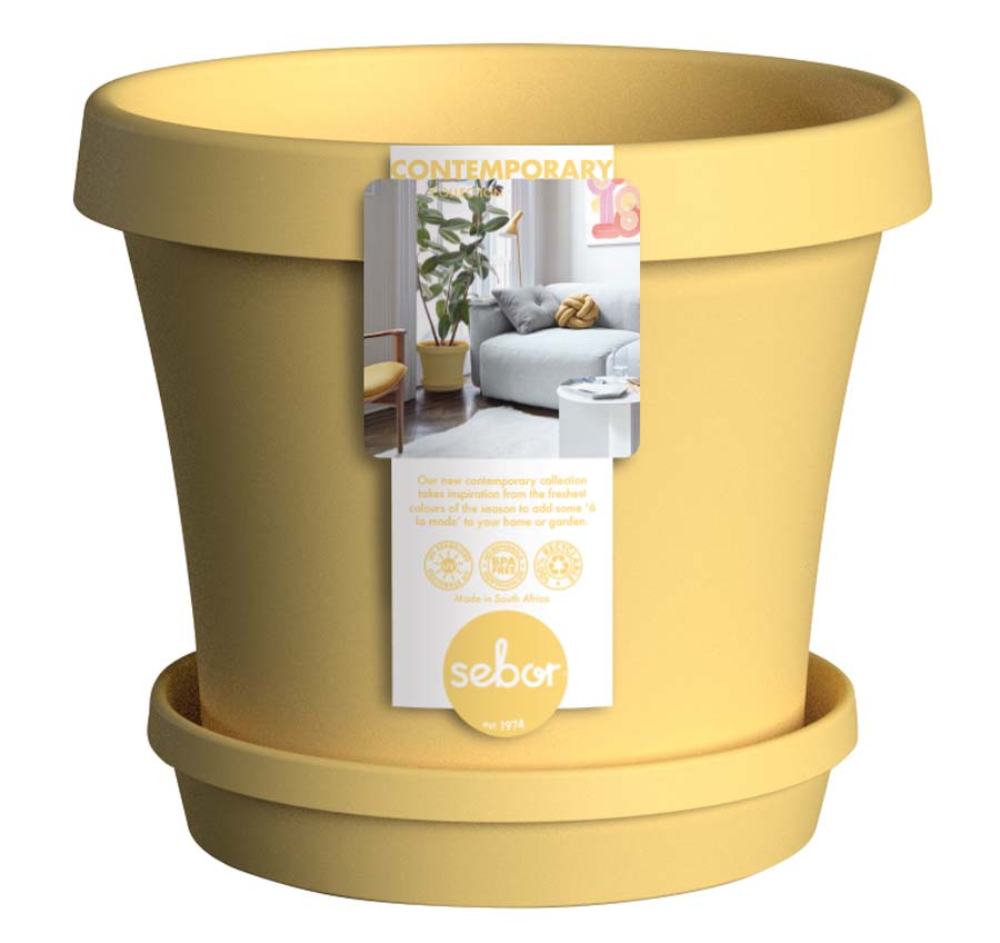 Sebor Super Pot - Yellow - Shop Online!