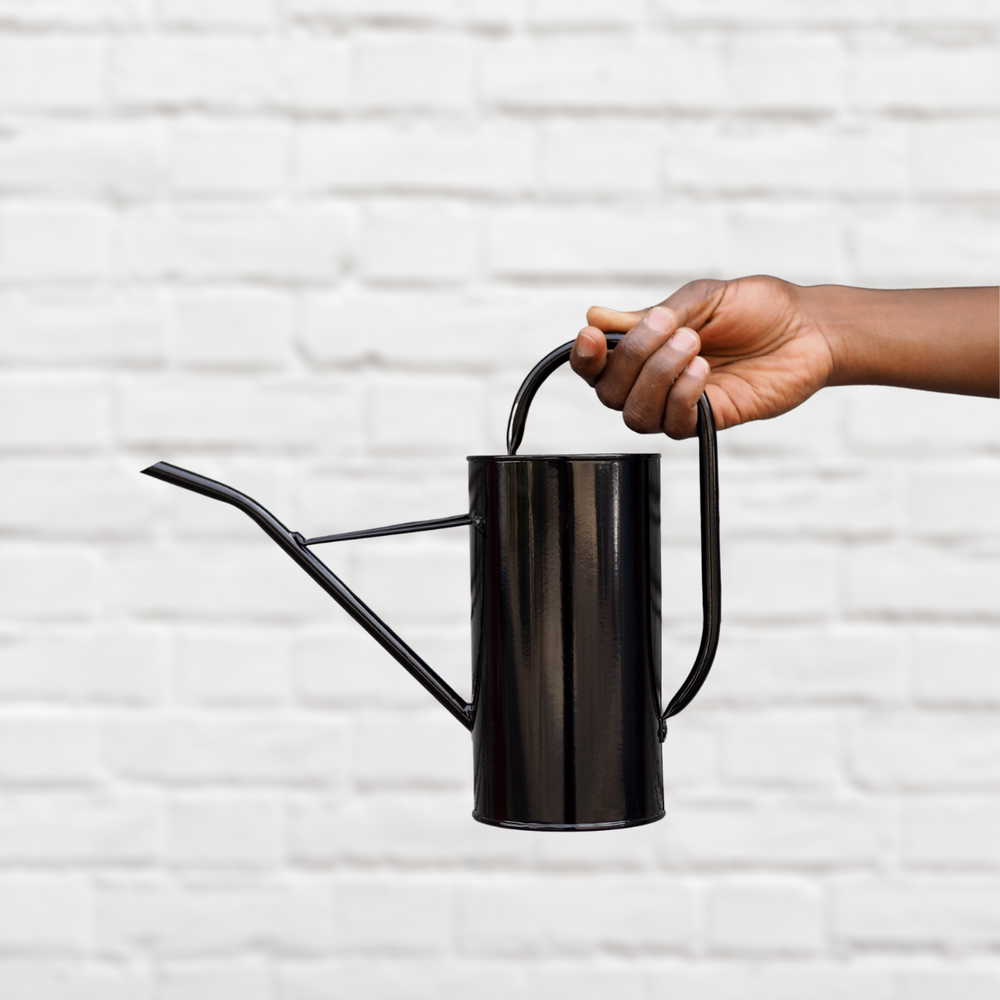Watering Can - Shop Online!