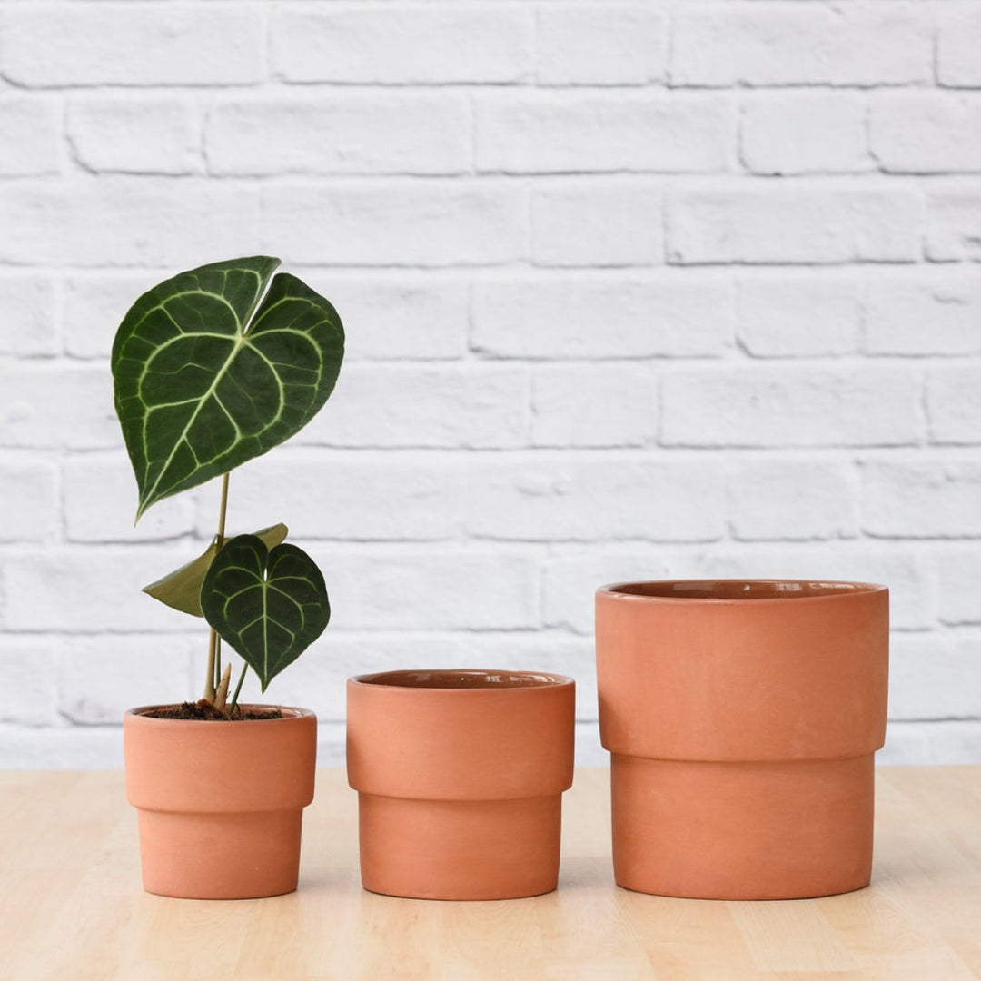 Flo Planter - Terracotta - Shop Online!