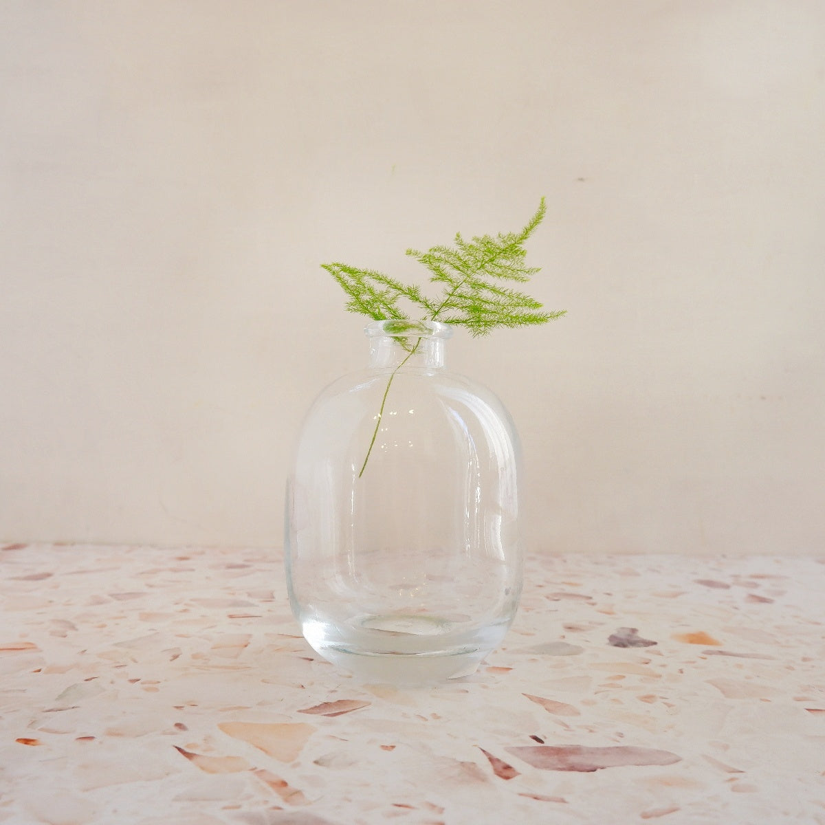 Glass Vase - Belly Round – Plantify - Urban Plantery