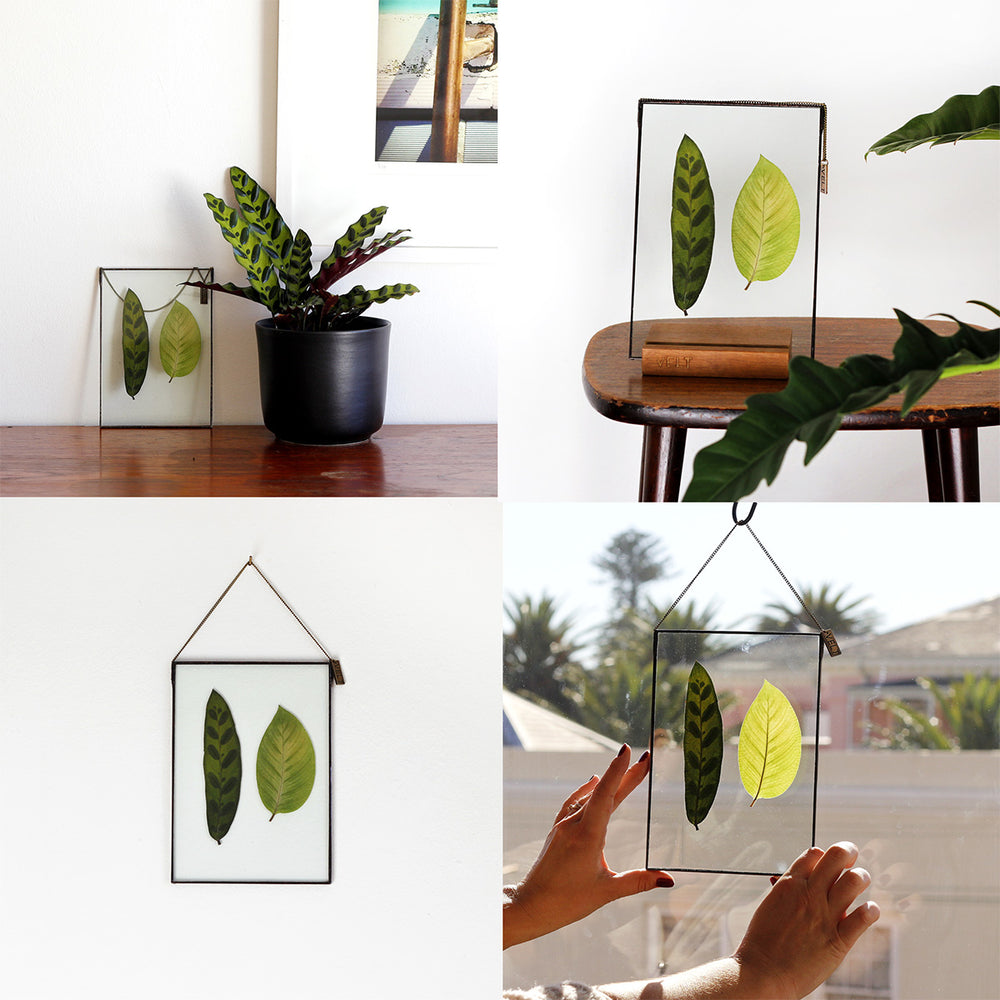 VELT Botanical Frame - Mixed Foliage - Shop Online!
