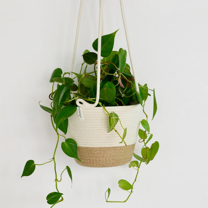 Mia Melange - Medium Hanging Planter - Shop Online!
