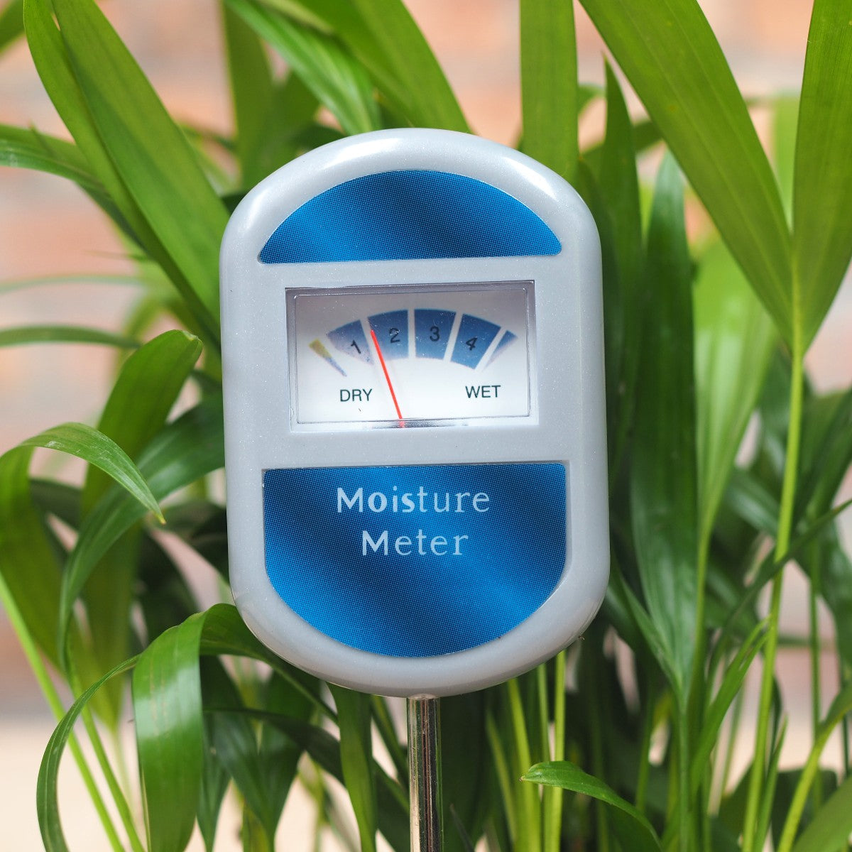 Moisture meter near me hotsell