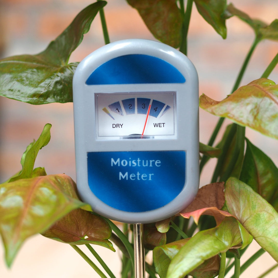 succulent moisture meter Moisture Meter
