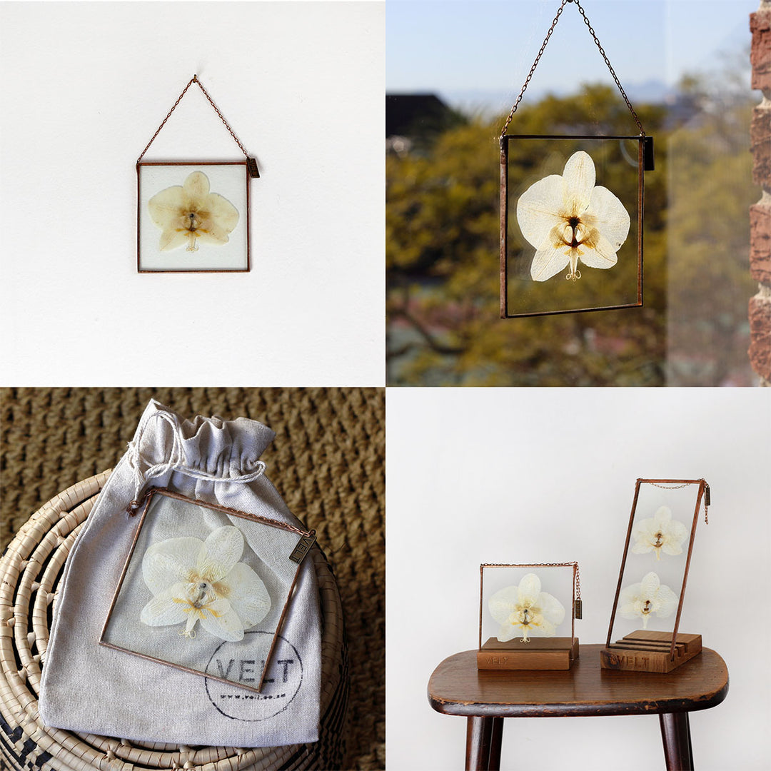 VELT Botanical Frame - Orchid - Shop Online!