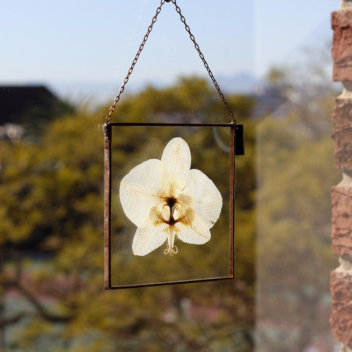 VELT Botanical Frame - Orchid - Shop Online!